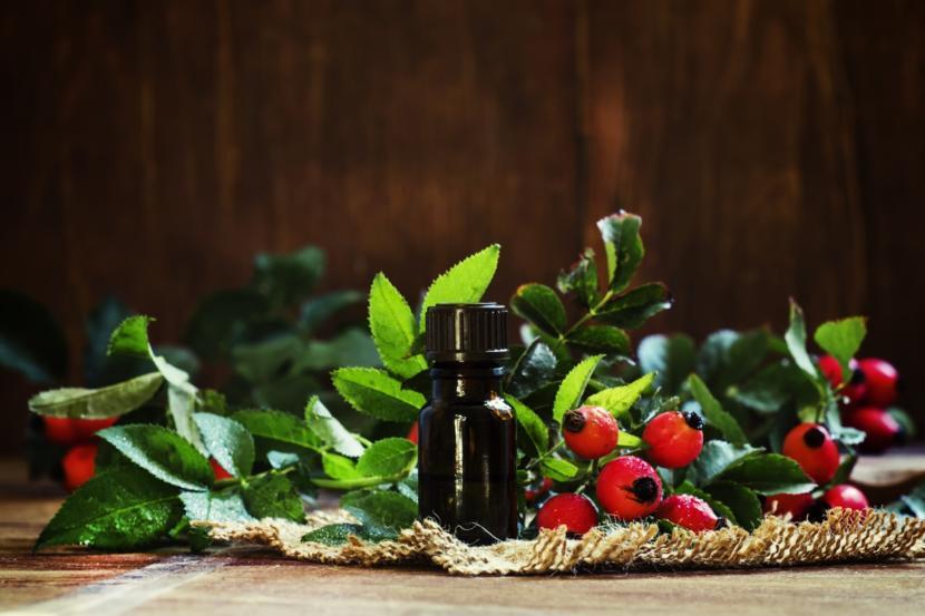 Rosehip Oil: Benefits for Face and Skin