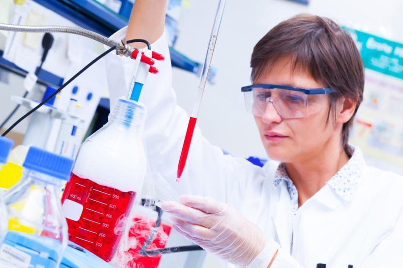 Creating Low-Gluten Bread Made Possible with Gene-Editing Technique