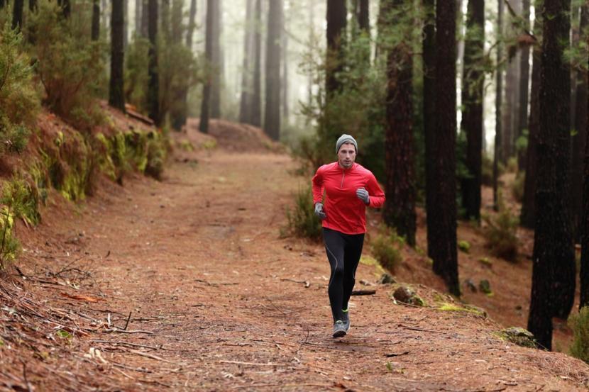 The Benefits of MyFitnessPal