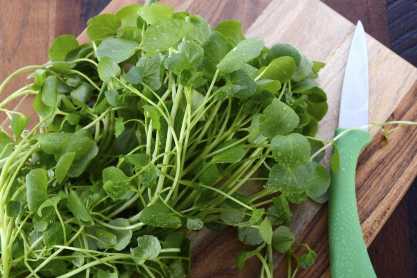 Health Benefits and Nutrition Facts of Watercress