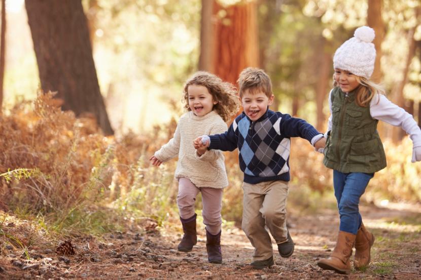 Active Children Have Healthy Hearts