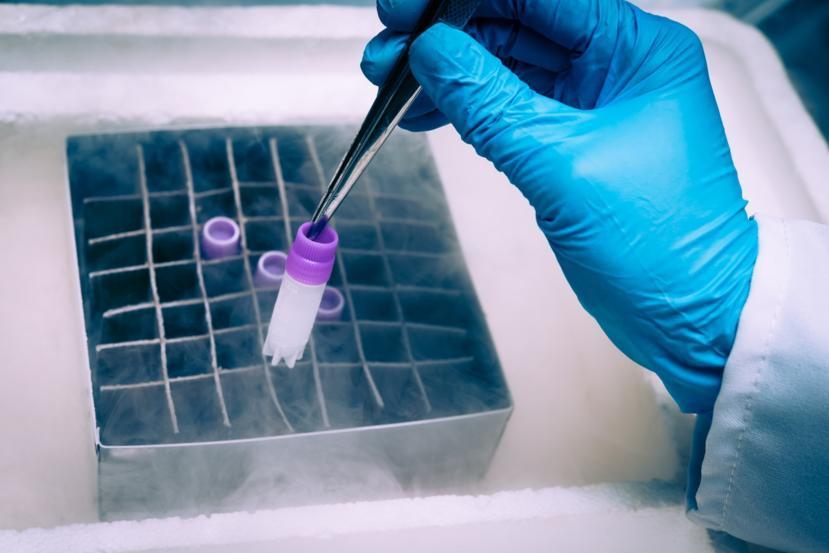 A Step Closer to Winning the Diabetes War: The Stem Cell Approach
