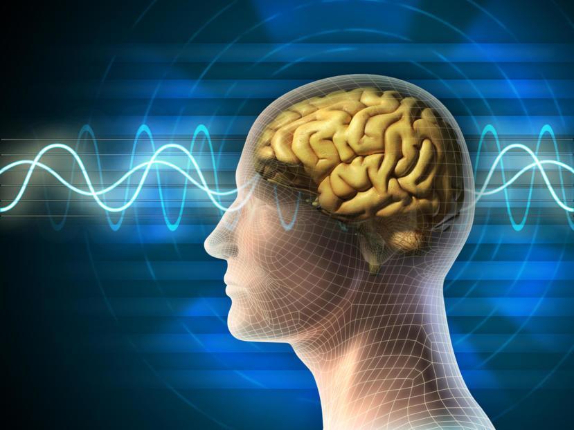 An In-Depth Look At How Alzheimer's Affects the Brain