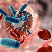 Blood in Urine: What Doctor Should I Call?