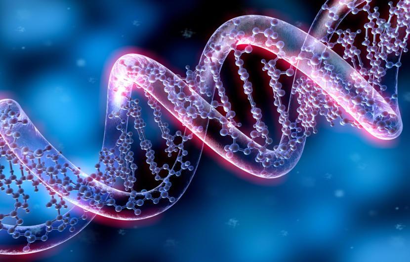 Brain Cells Can Revamp DNA, Possibly Causing Alzheimer’s Disease