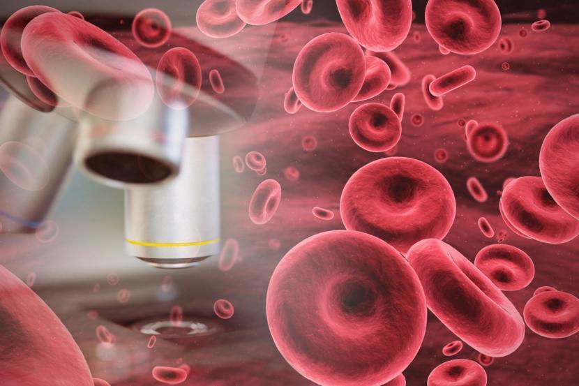 What is the Difference Between Leukemia and Lymphoma?