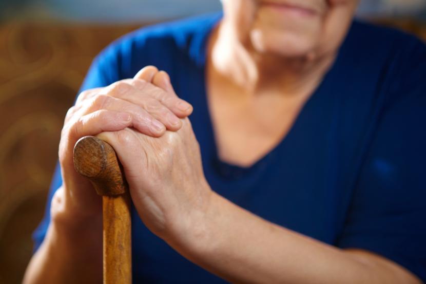 Does the Immune System Play a Role in Parkinson's?