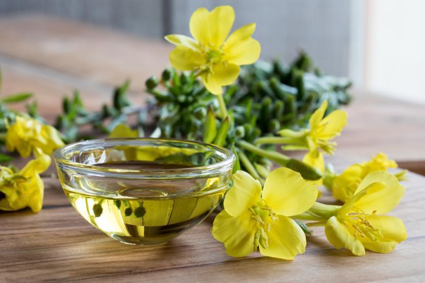 Evening Primrose Oil: Uses, Benefits, Dosage, and Side Effects