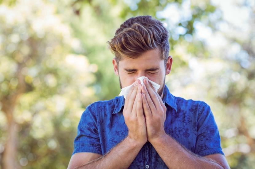 How Local Honey Treats Allergies