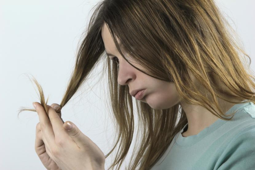 How to Tell if the Nits Are Dead or Alive