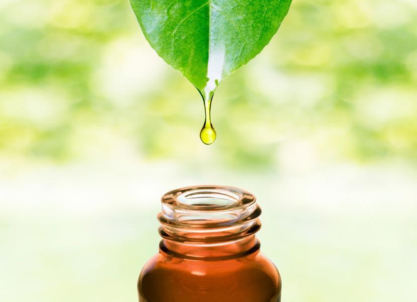 Is Copaiba Actually Helpful for Rheumatoid Arthritis Treatment?