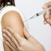 Is Dengue Fever Contagious?
