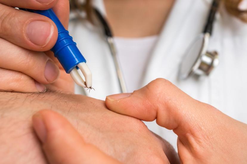 Is Lyme Disease Debilitating?