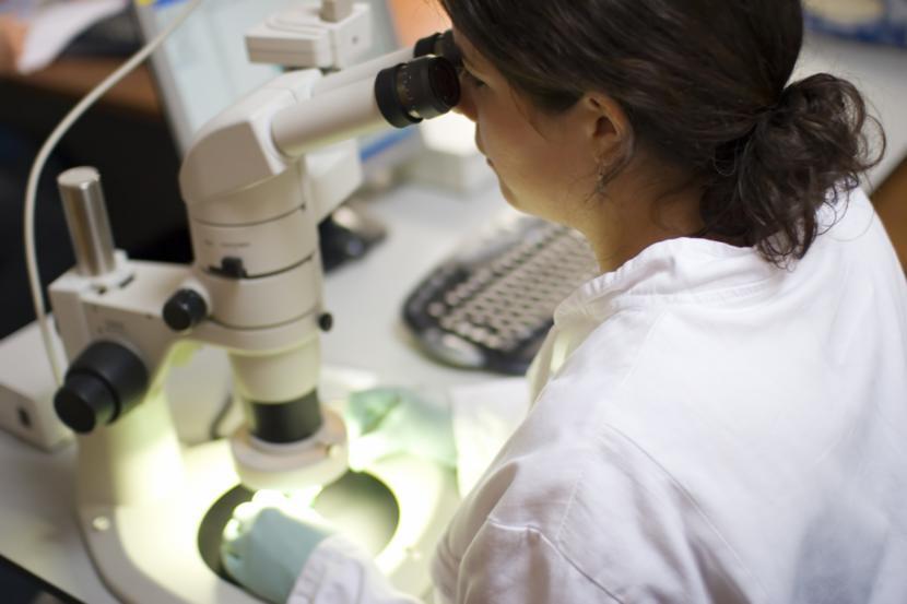Lab-Grown Human Colons Change the Face of Colitis Study