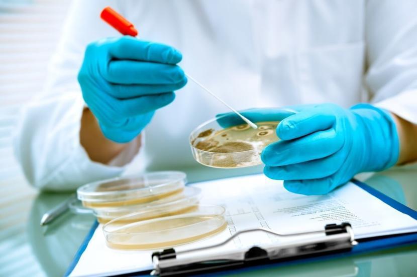 Mononucleosis: Am I Contagious Throughout the Duration of My Condition?