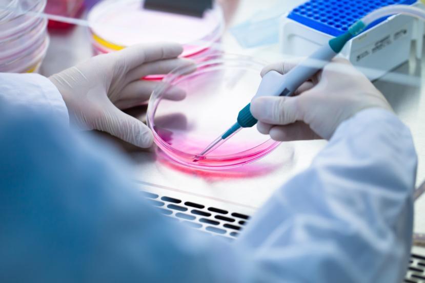 Muscular Dystrophy: Cellular Antennae Play Key Role in Muscle Loss