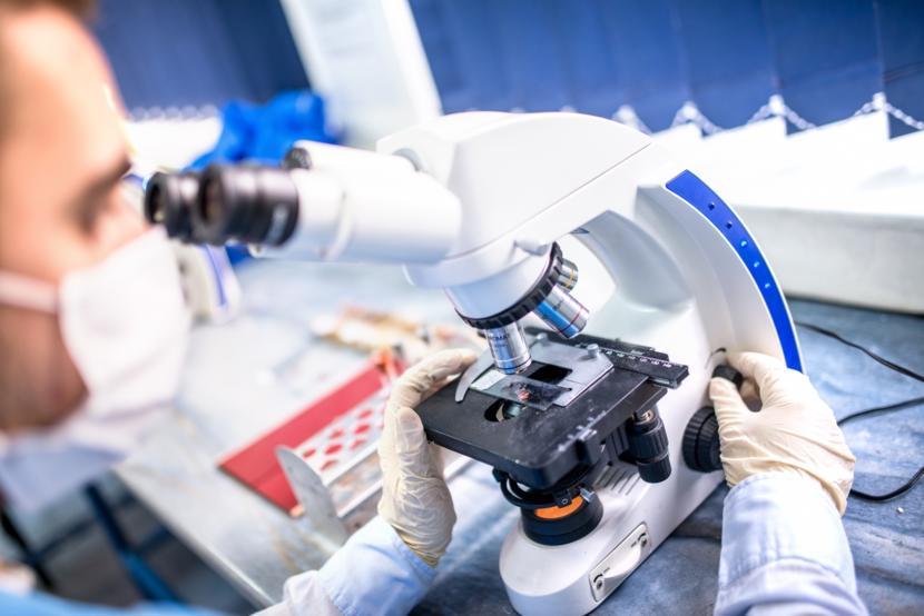 New Cell Therapy Shows Promise as Potential Lymphoma Fighter