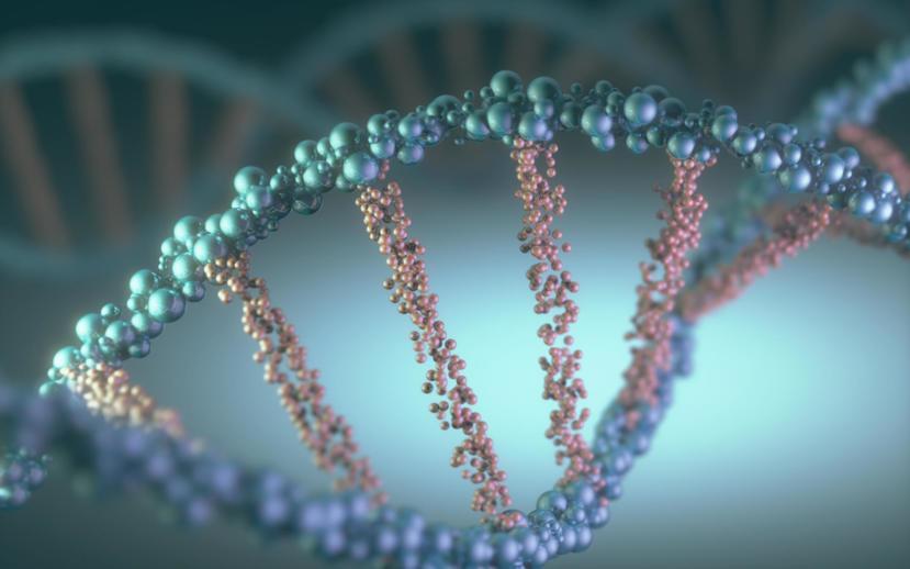 Alzheimer's Breakthrough: Study Has Found a Change in Protein Can Reverse Alzheimer's Damage