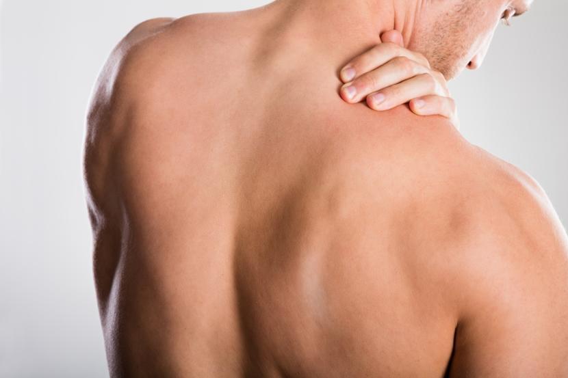 Scapula and Winged Scapula: Anatomy, Function, Injuries, and Defects
