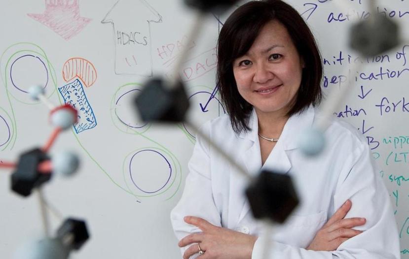 Targeting Enzyme May Be an Approach to Alzheimer’s Therapy