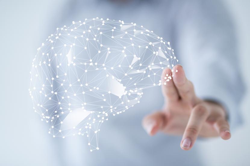 The Brain and Fibromyalgia