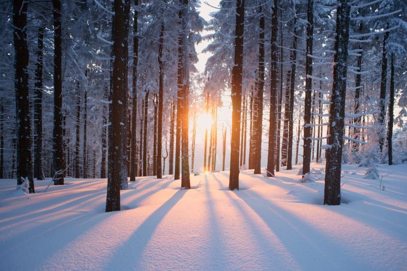 The Connection Between Seasonal Affective Disorder and Fibromyalgia