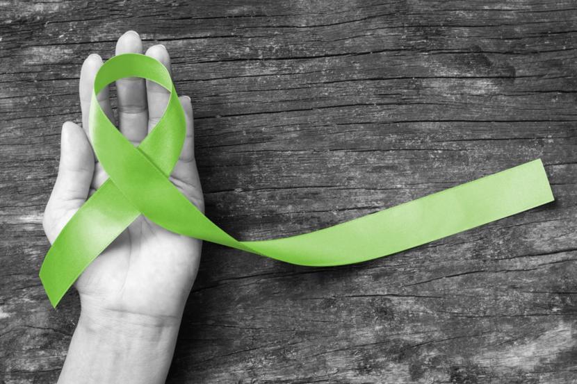 The Lymphoma Research Foundation Announces Partnership with the Annals of Lymphoma