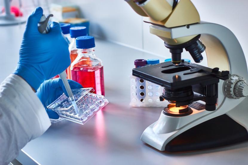 The New Stem Cell Treatment that May Finally Cure Diabetes