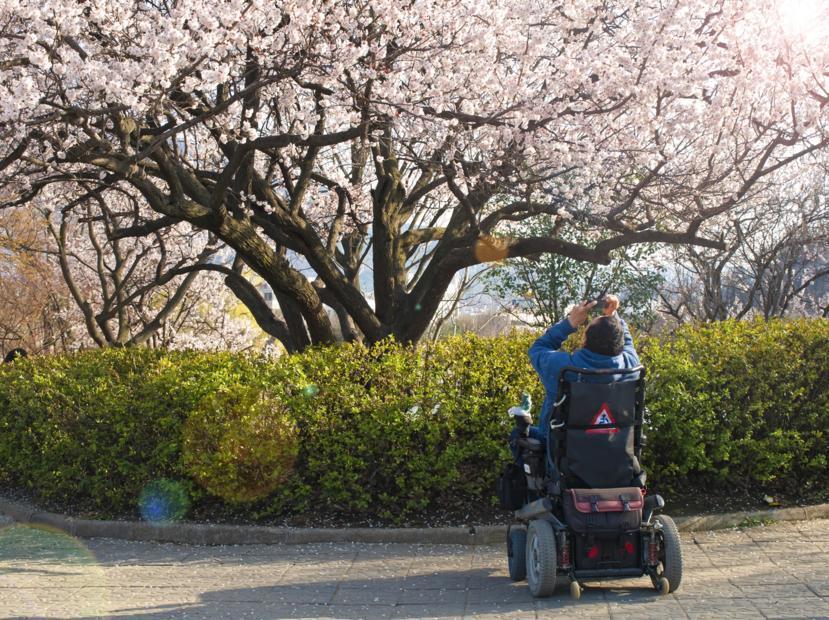 The Struggle of a Disabled Traveler