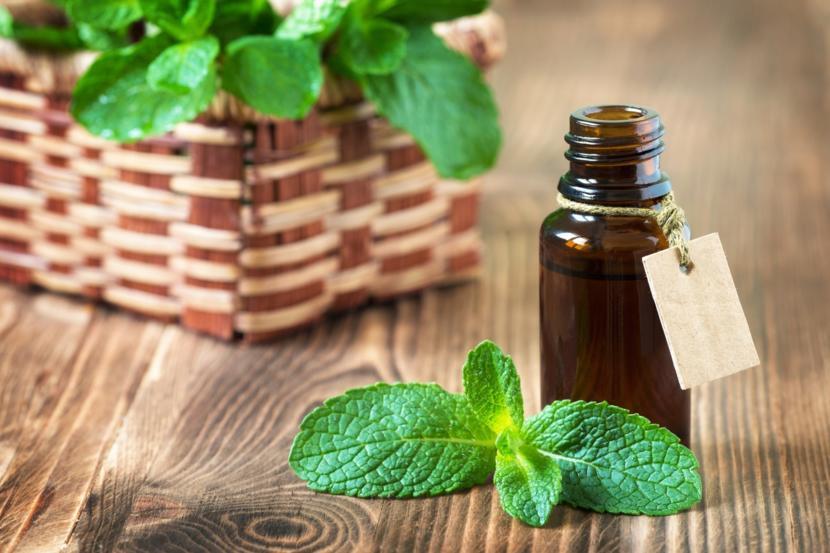 What Is Peppermint Essential Oil Used For?