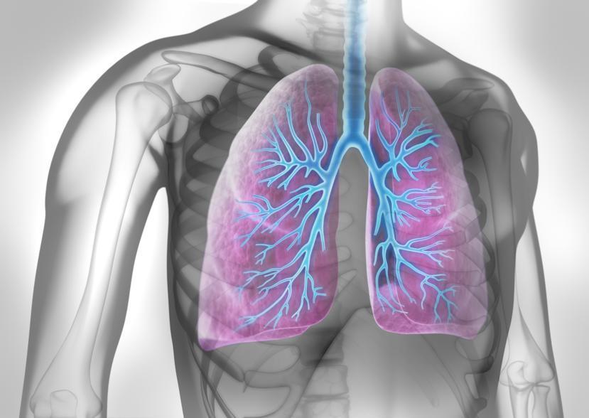 What Causes Asthma?