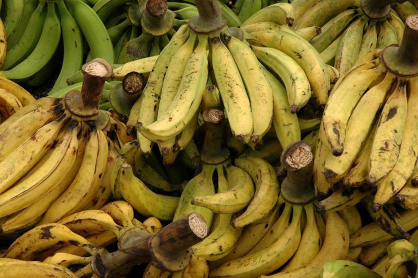 What Is a Plantain?