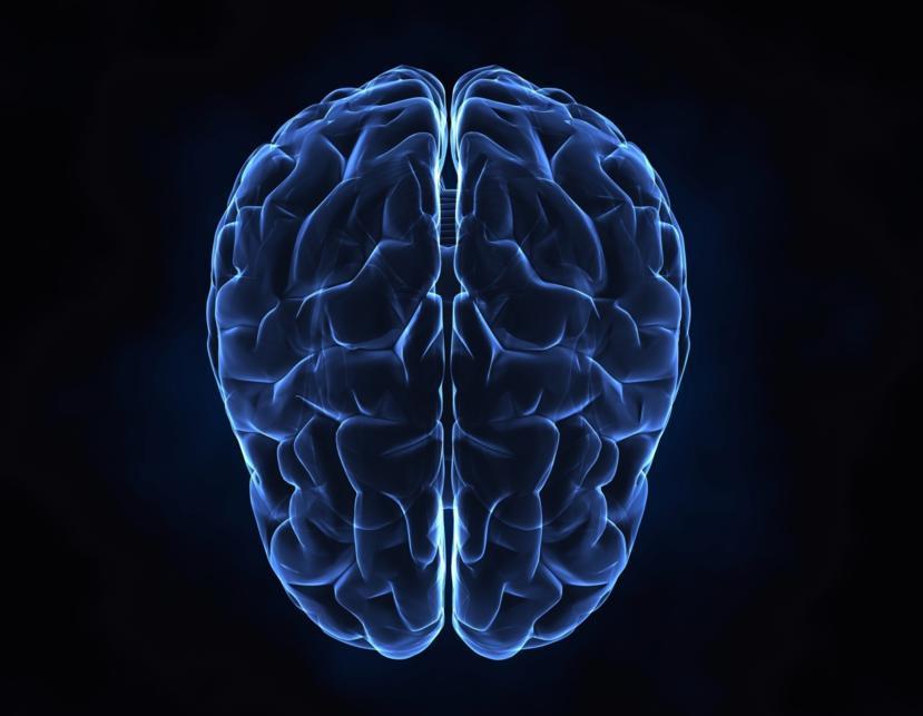What is Epilepsy?
