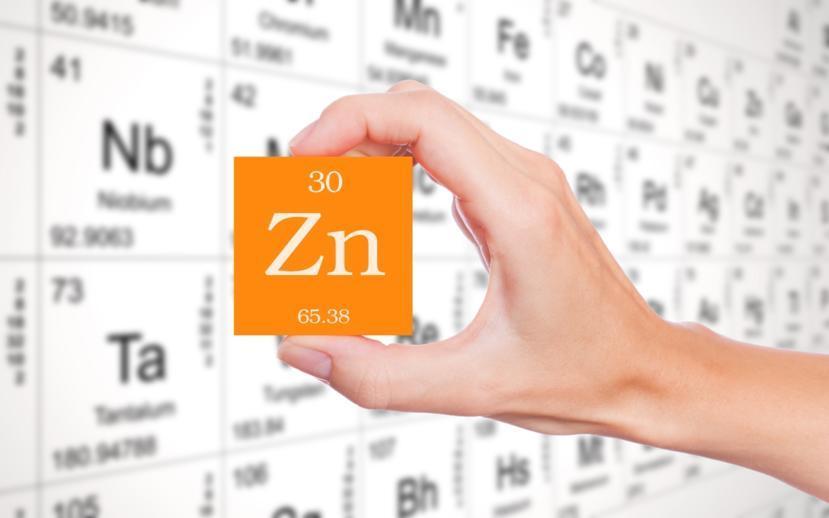 Zinc’s Role in Multiple Sclerosis Development