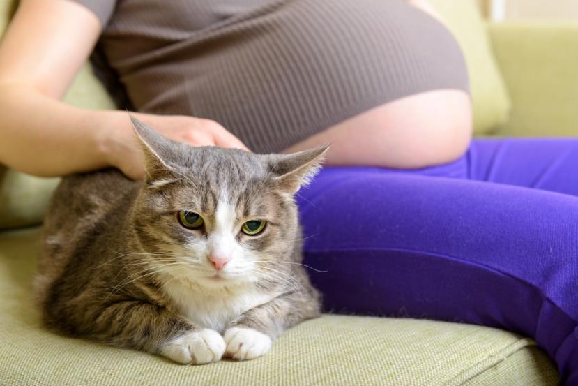 Symptoms and Treatment of Toxoplasmosis