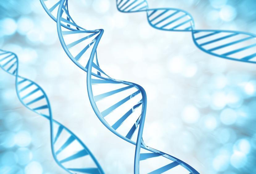 Breast Cancer Risk Could Depend on a Combination of Gene Variation and Environment
