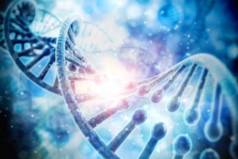 New Screening Method Can Detect Tumor-Derived DNA in Women with Early Ovarian Cancer