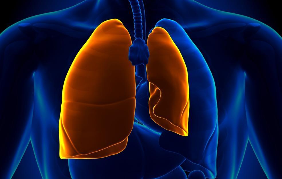 What is bibasilar atelectasis?