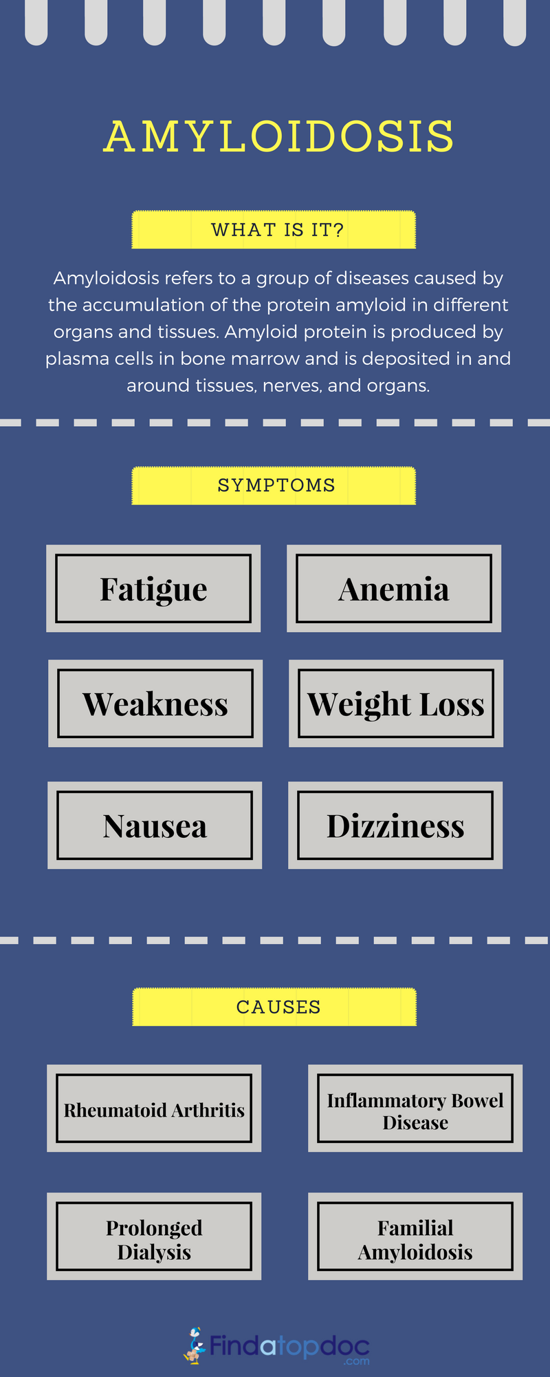 Amyloidosis Infographic