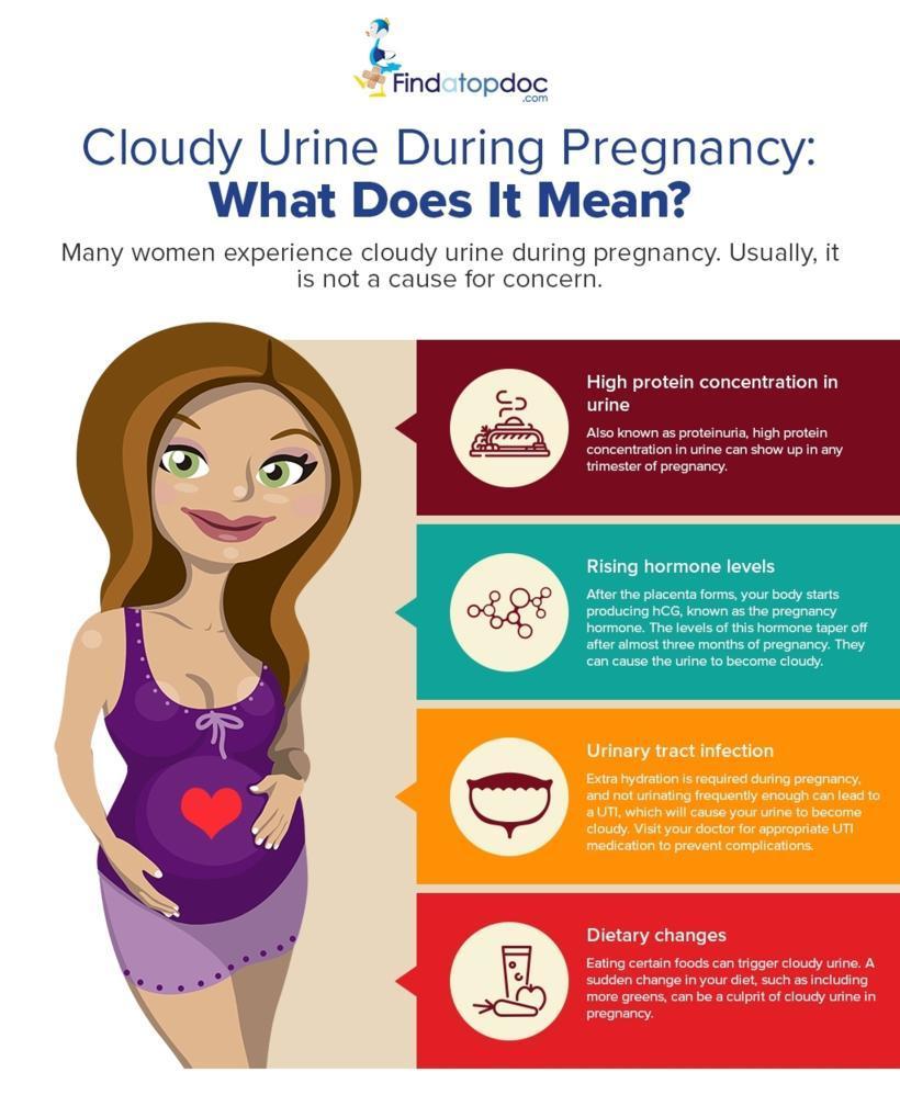 Cloudy Urine During Pregnancy