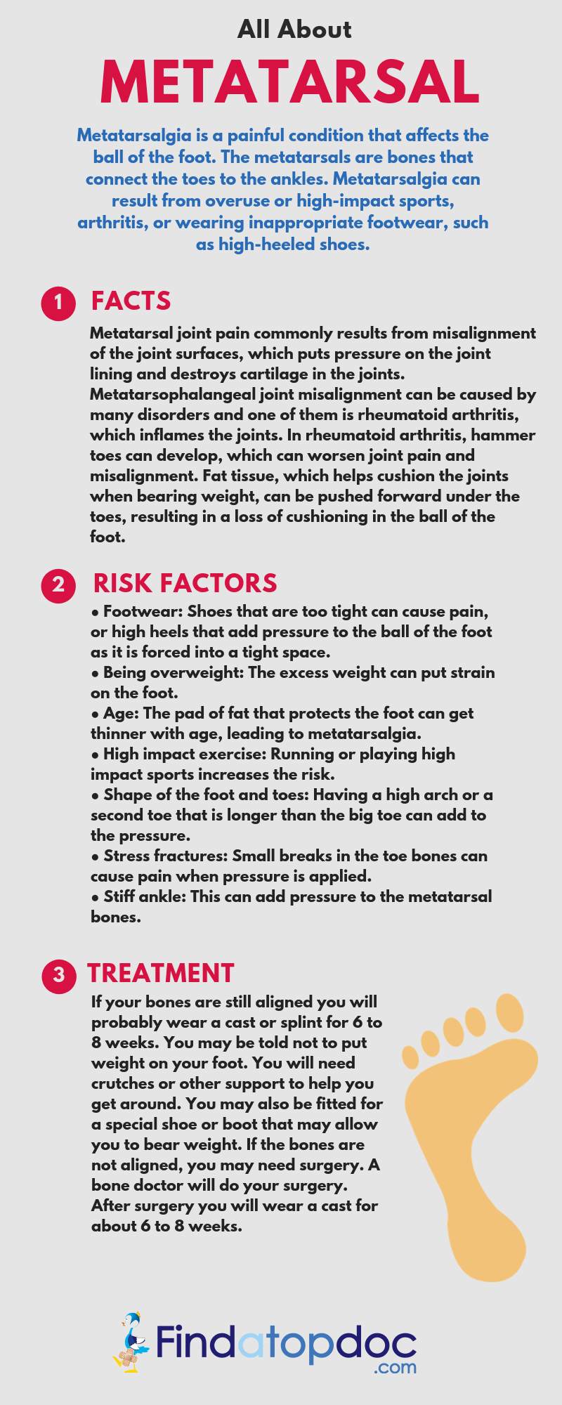 All About Metatarsal