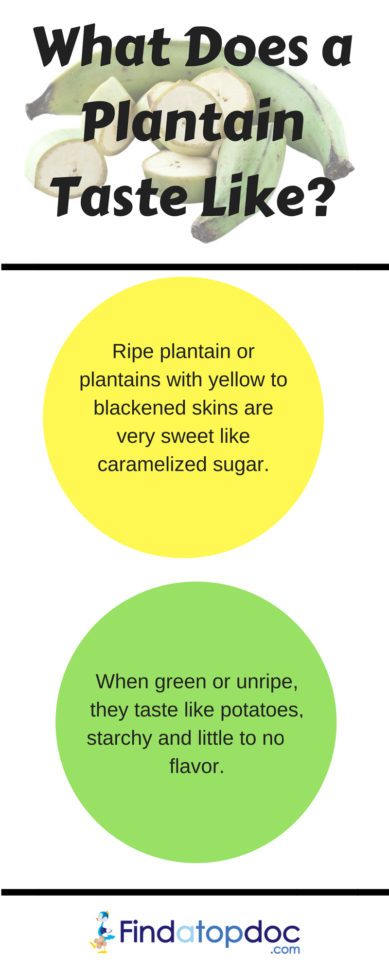 What Does a Plantain Taste Like?