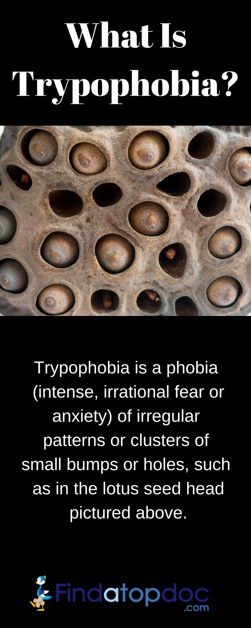 What is Trypophobia : Symptoms and Diagnosis